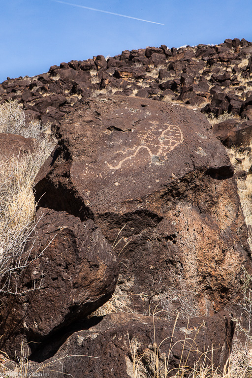 Paramecium at noon, Mesa Prieta, Petroglyph National Monument