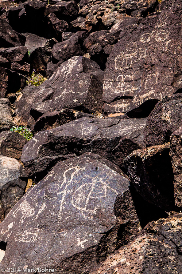 Petroglyphs, Piedras Marcadas Canyon, Petroglyph National Monument