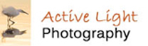 Active Light Photography - Mark Bohrer