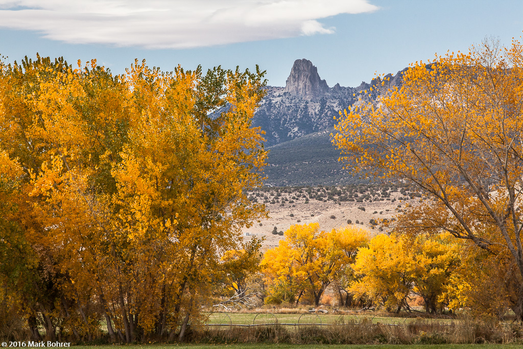 Fall color south of Cortez, Colorado