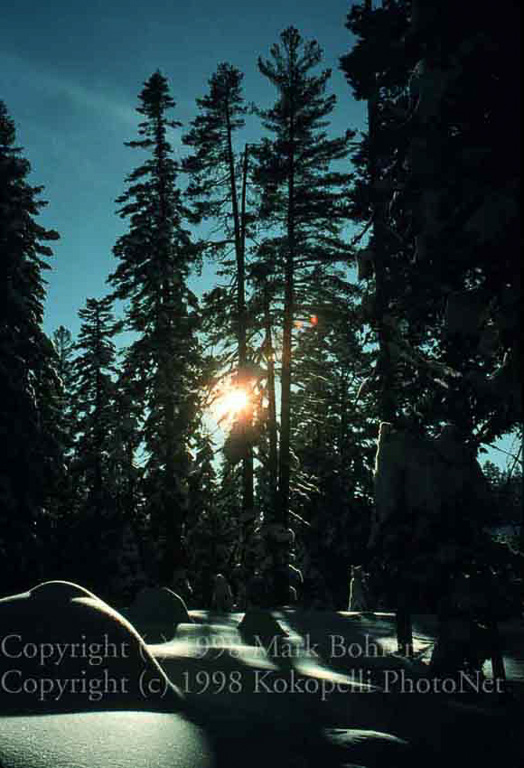 Snow and sunstar, Donner Lake area, California
