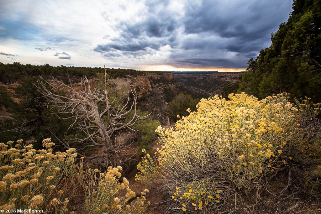 Desert View - Mesa Verde