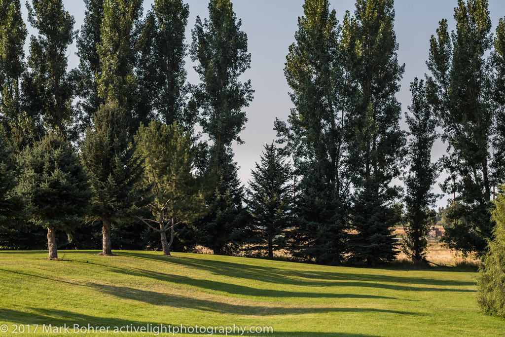 The meadow at North Bingham County Recreation Area, Shelley, Idaho