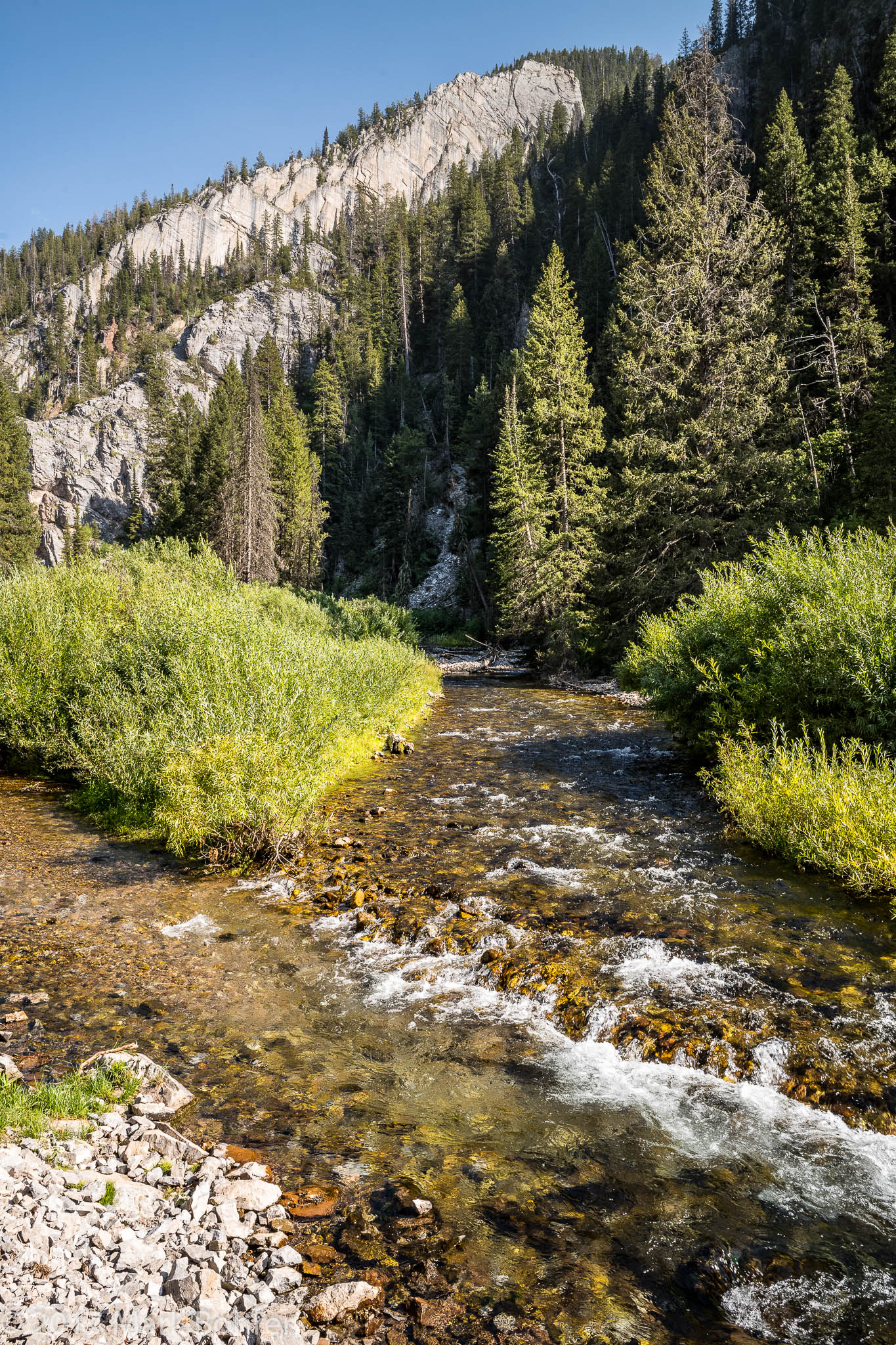 Along Salt Creek on the way to Periodic Spring