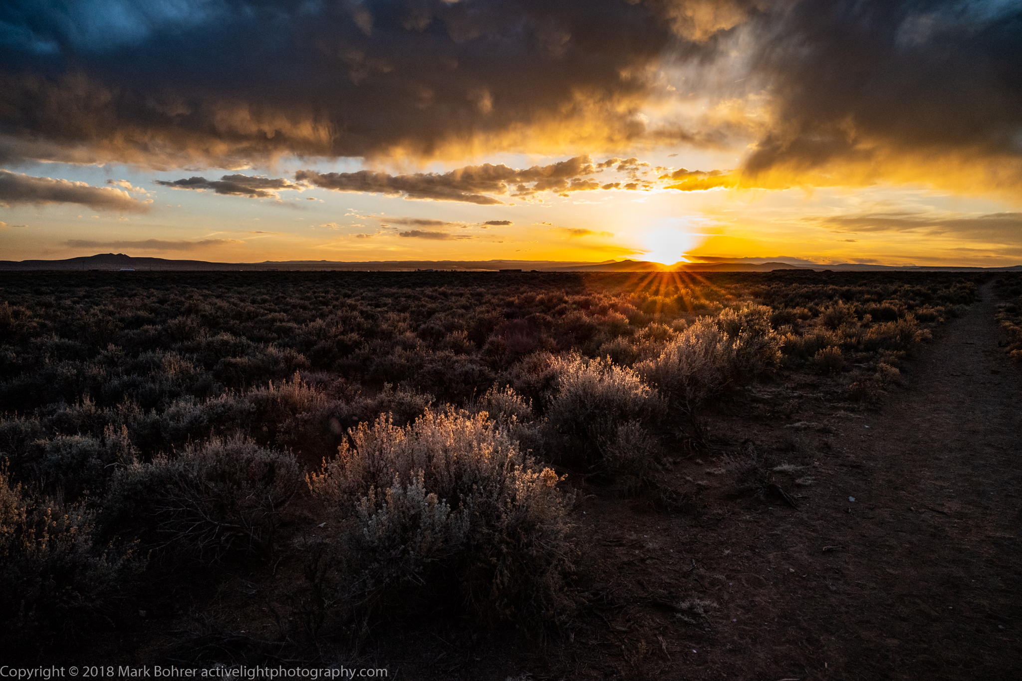 Sunstar and leading sage light, El Prado, New Mexico