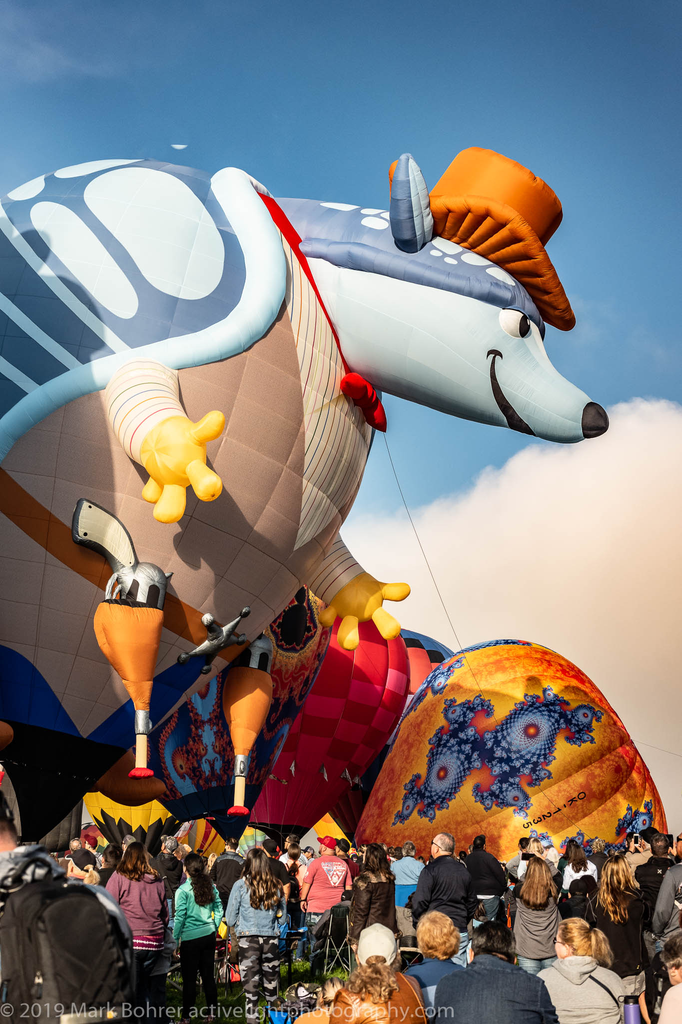 Quick-draw turtle? - Albuquerque International Balloon Fiesta, Active Light Photography