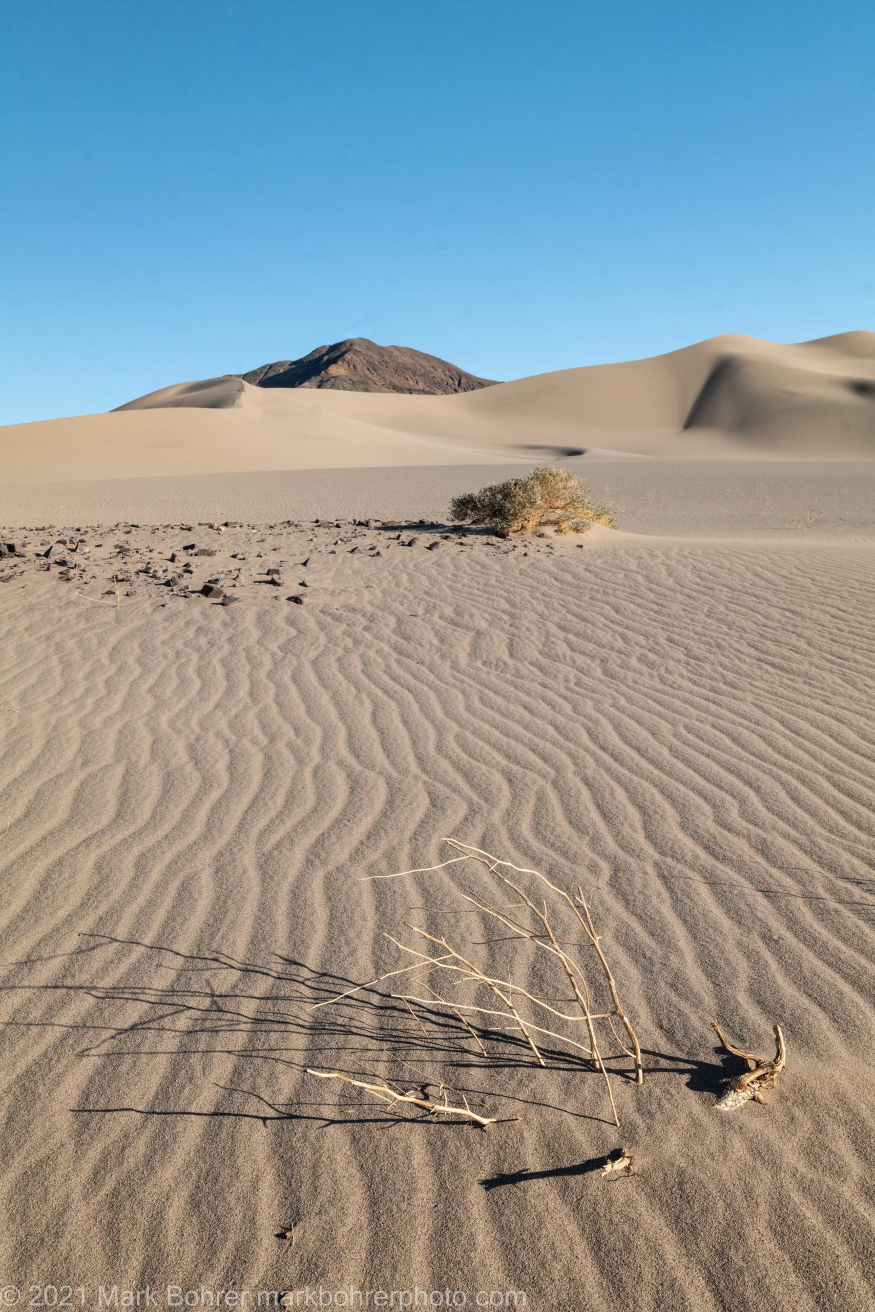 Near and far - spidery shadows - Death Valley Ibex Dunes